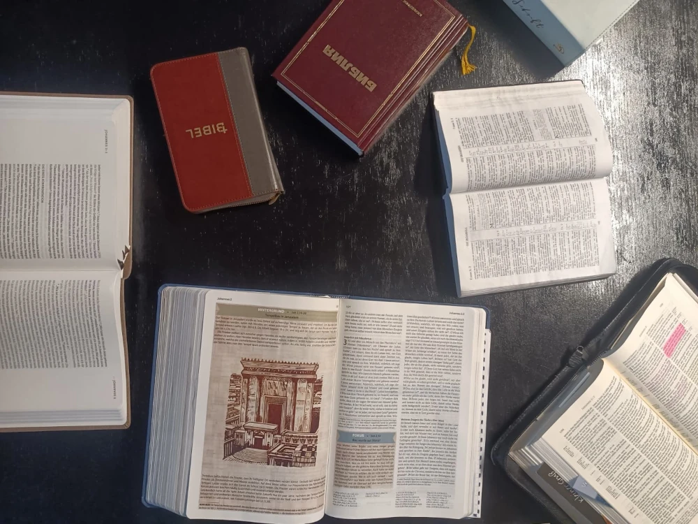 Bibel lesen und verstehen